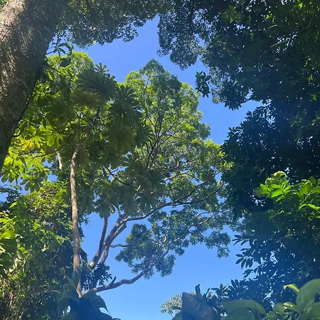 Amazing Forest House In The City! Private Guest Suite - Double Studio Room Rio de Janeiro Exterior foto