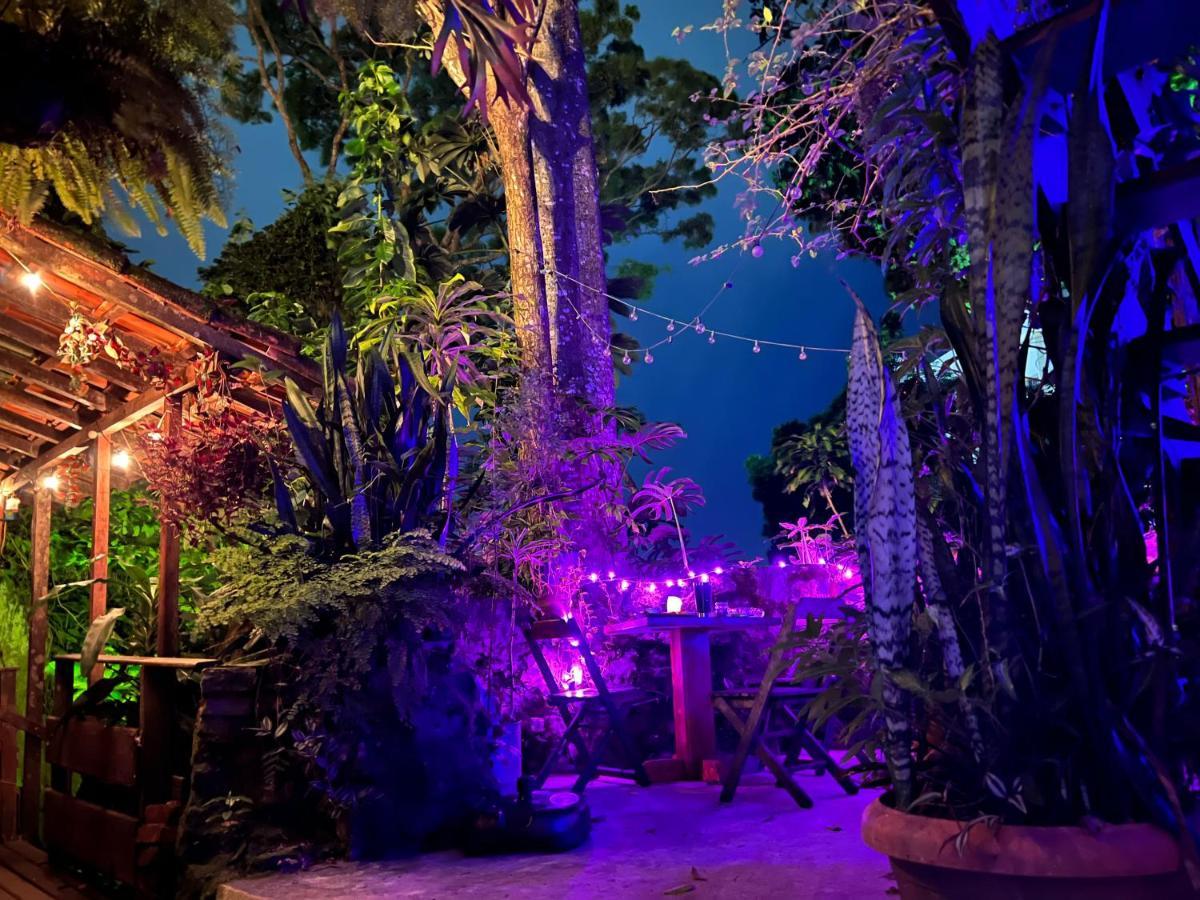 Amazing Forest House In The City! Private Guest - Double Casa de Férias