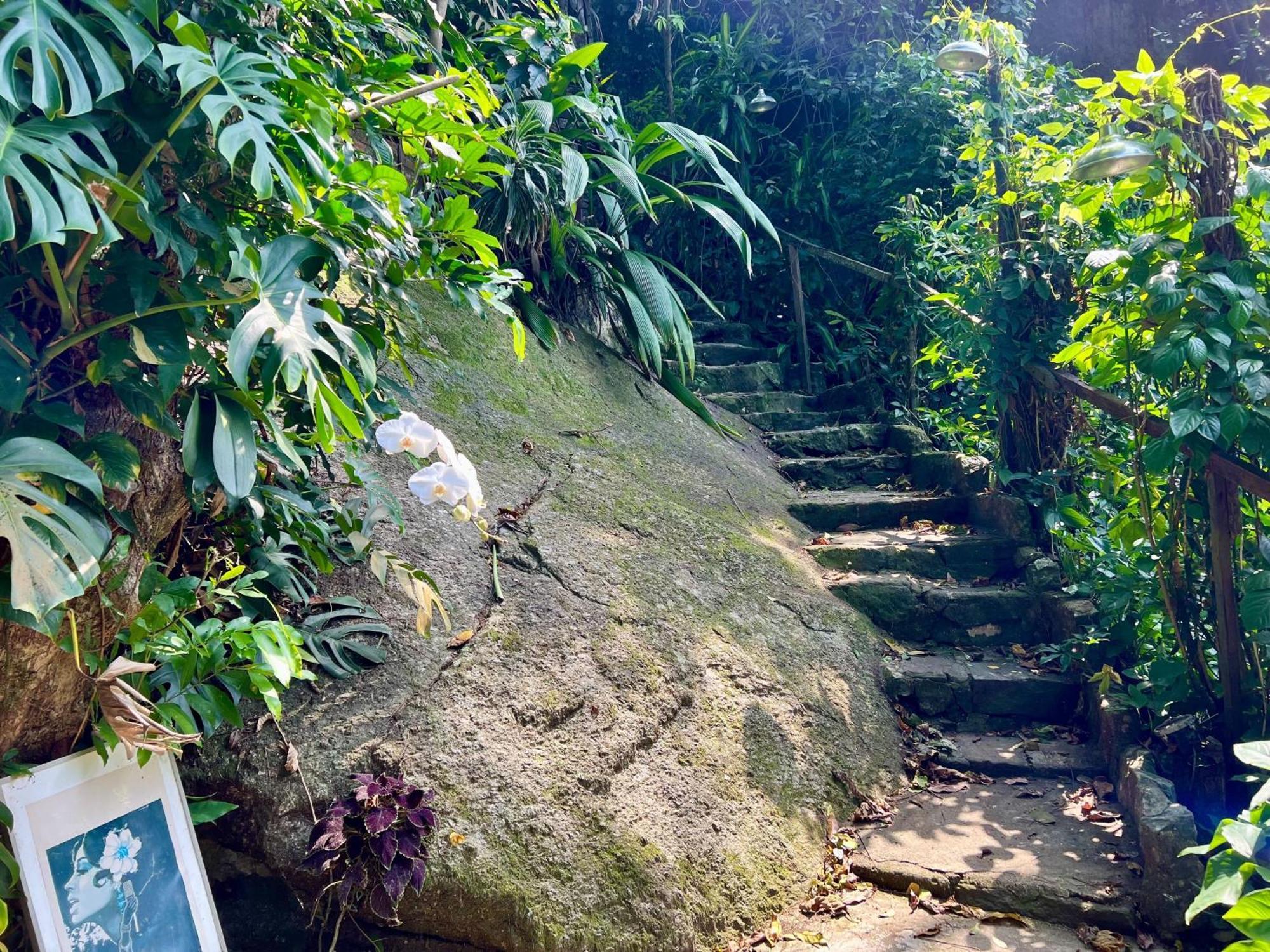 Amazing Forest House In The City! Private Guest - Double Casa de Férias